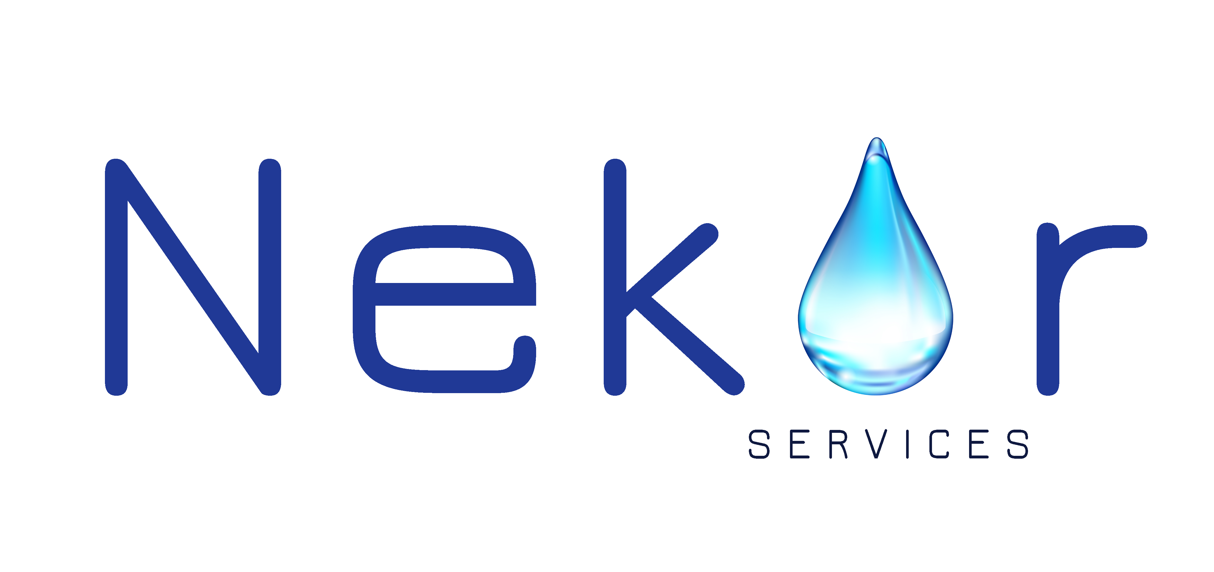 Nekor Services